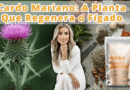 Cardo Mariano: A Planta Que Regenera o Fígado, Equilibra os Hormônios e Desintoxica o Corpo Naturalmente