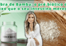 Fibra de Bambu: o pré‑biótico de luxo que o seu intestino merece